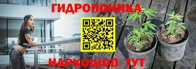прущий лед Обь