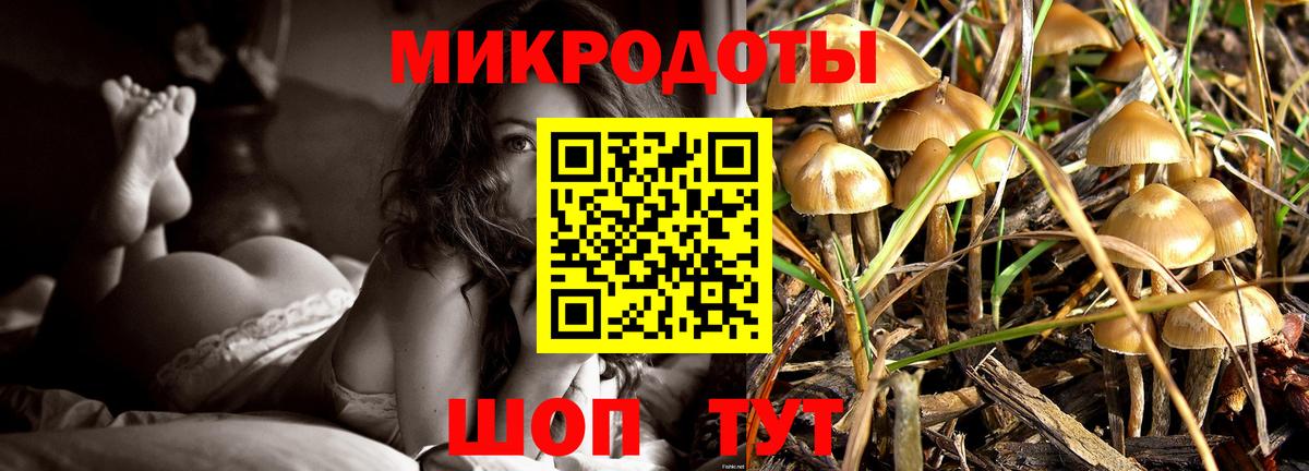 Сланцы  Галлюциногенные грибы Psilocybine cubensis  Вход с VPN 