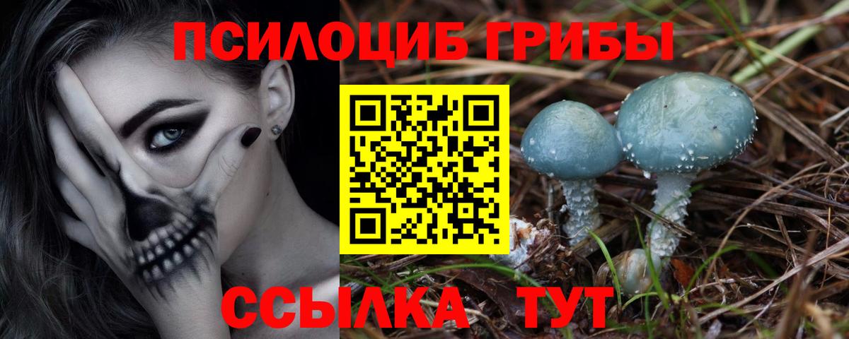 Галлюциногенные грибы мицелий Сланцы